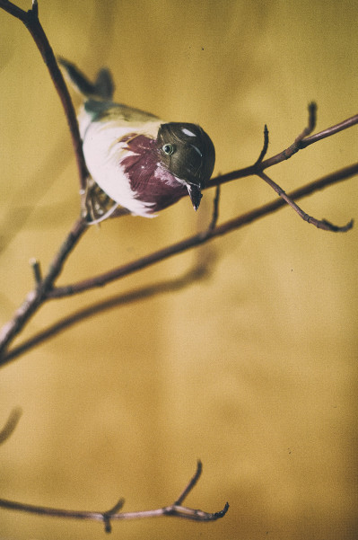 studium-fotografie-koeln-fotograf-ausbildung-029