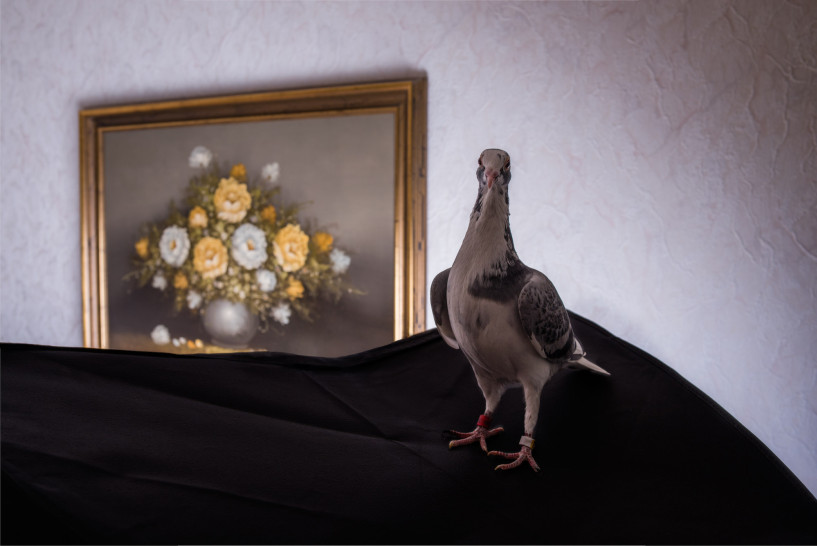 britta-studium-fotografie-ausbildung-fotograf-23