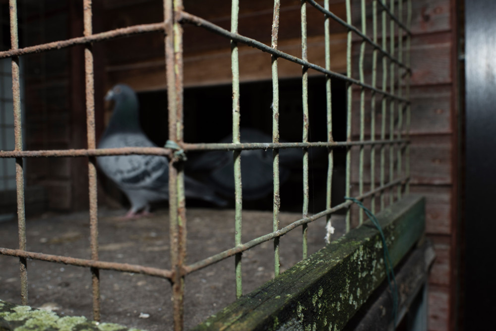 britta-studium-fotografie-ausbildung-fotograf-5