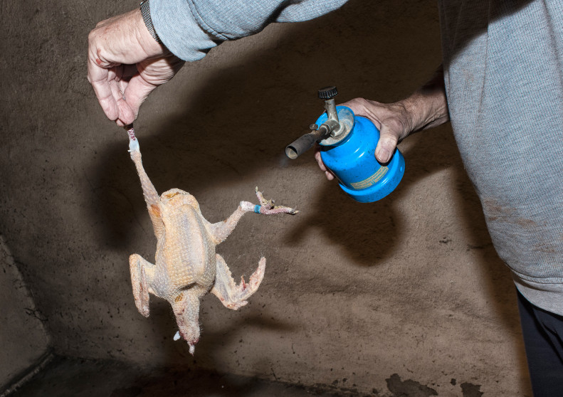 britta-studium-fotografie-ausbildung-fotograf-39