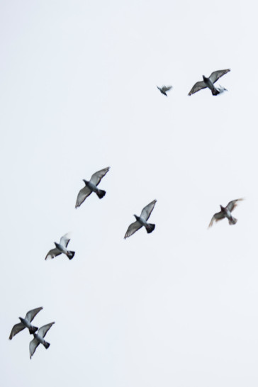 britta-studium-fotografie-ausbildung-fotograf-32