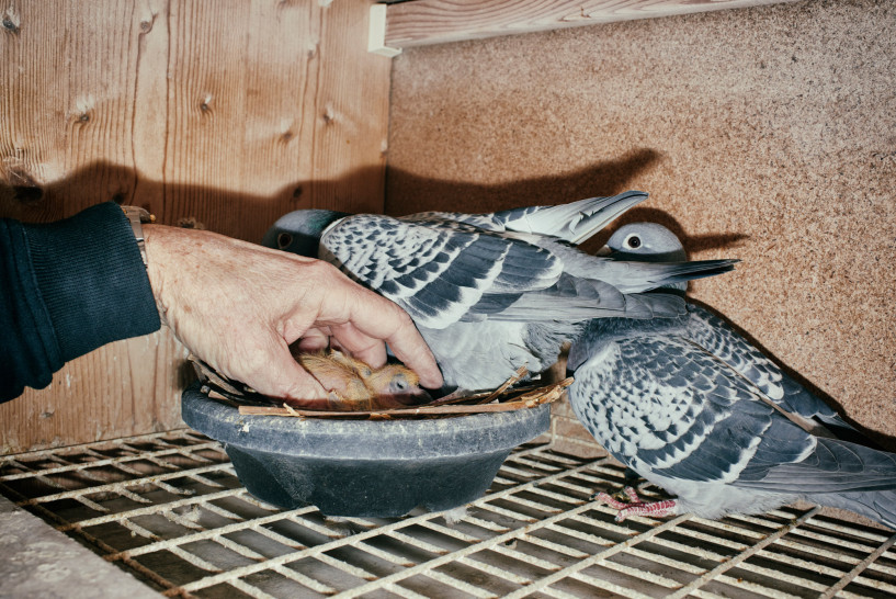 britta-studium-fotografie-ausbildung-fotograf-21