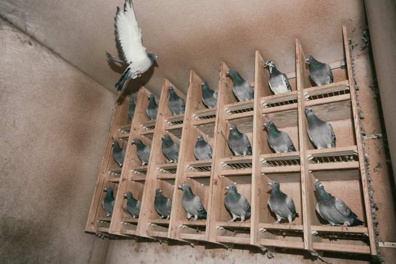 britta-studium-fotografie-ausbildung-fotograf-9