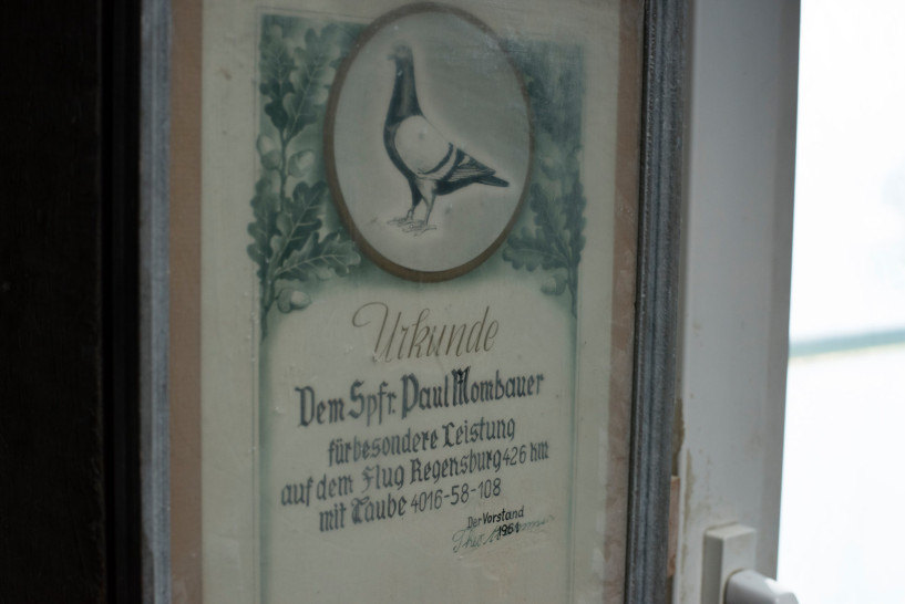 britta-studium-fotografie-ausbildung-fotograf-33