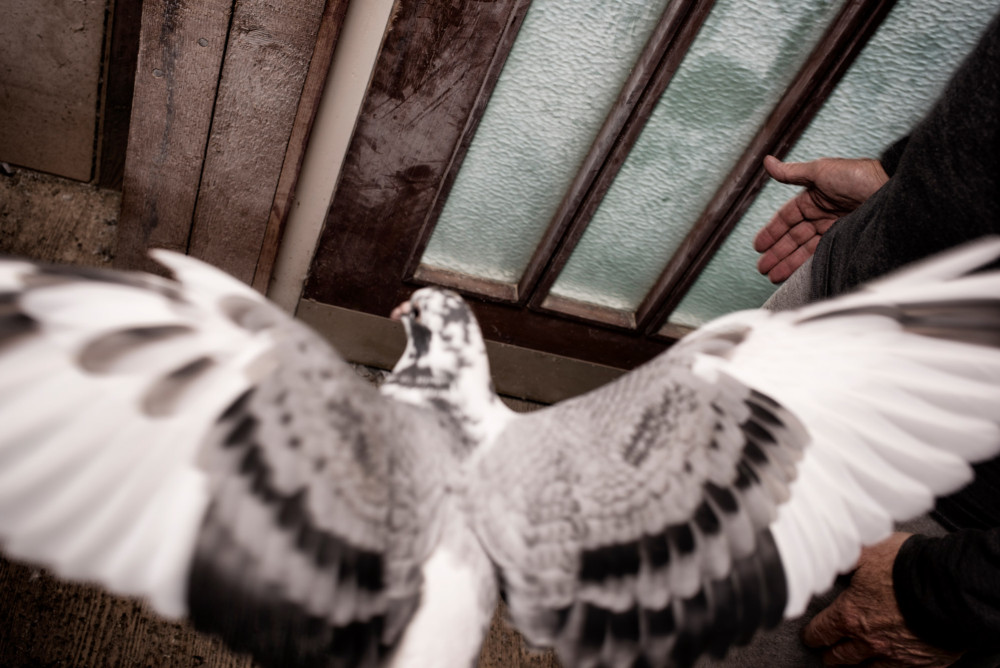 britta-studium-fotografie-ausbildung-fotograf-29
