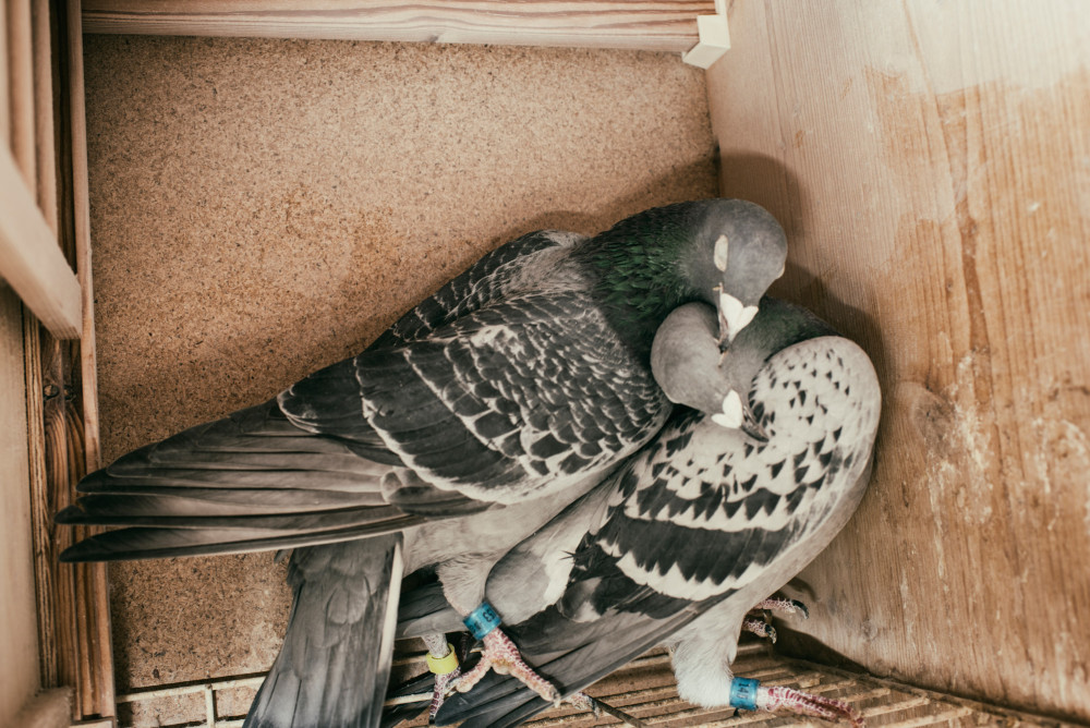 britta-studium-fotografie-ausbildung-fotograf-18