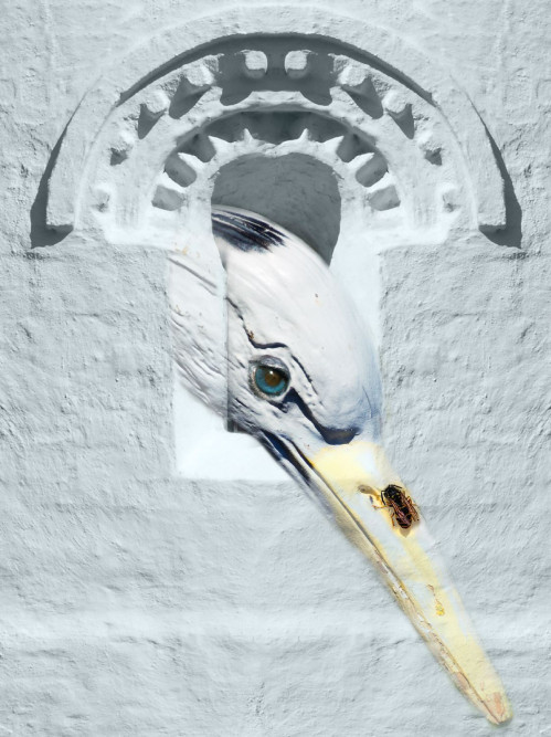 haberkorn-erfahrungen-mit-der-ausbildung-zum-fotograf-und-studium-fotografie-03