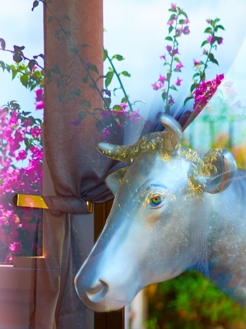 haberkorn-erfahrungen-mit-der-ausbildung-zum-fotograf-und-studium-fotografie-06