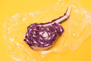 banner-zuzana-absolventin-ausbildung-fotograf-studium-01