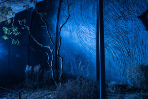 anja-grauenhorst-studium-fotograf-nebenberuflich-banner0202