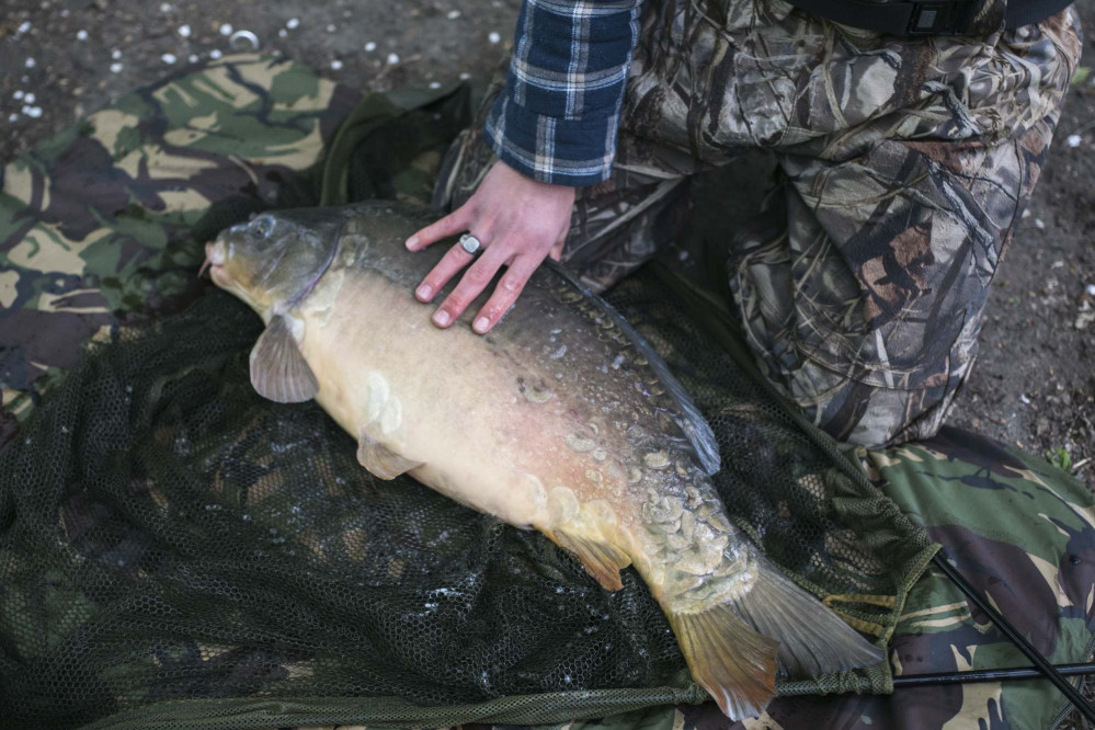 lenny-lavrut-fotograf-ausbildung-absolvent-koeln56