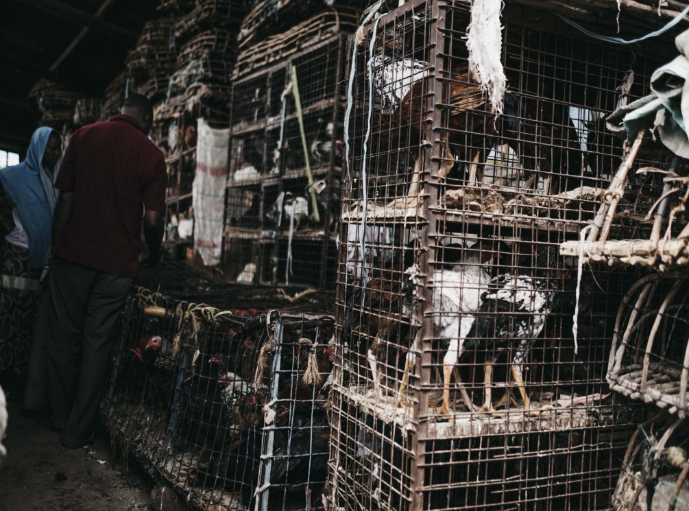 lenny-lavrut-fotograf-ausbildung-absolvent-koeln0303