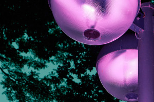 susanne-galler-banner-006