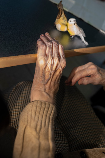 x-heike-spoehrer-004