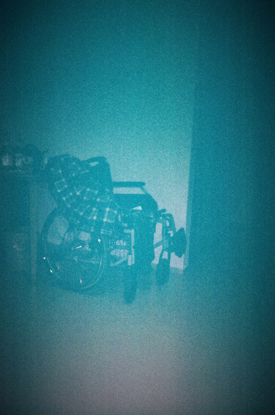 13_diplomserie1_landau