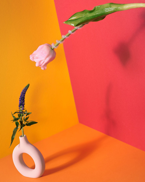 diplomserie-1_steffen_007