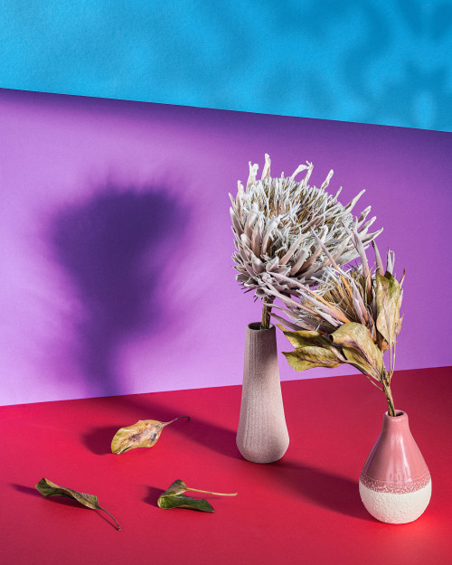 diplomserie-1_steffen_008