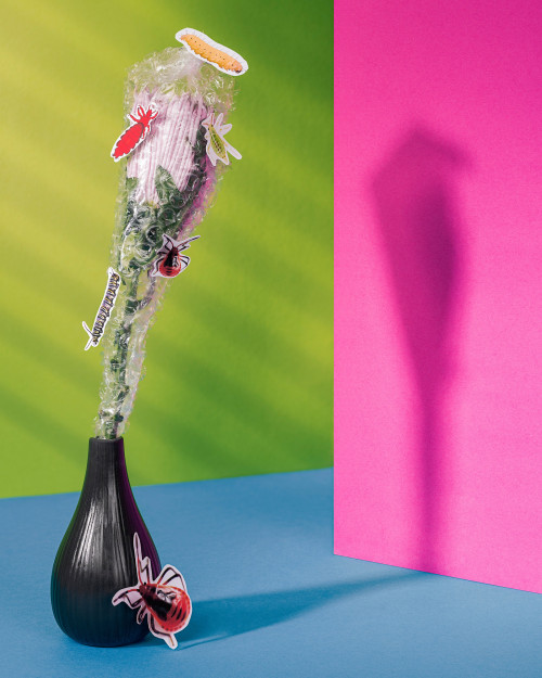 diplomserie-1_steffen_001