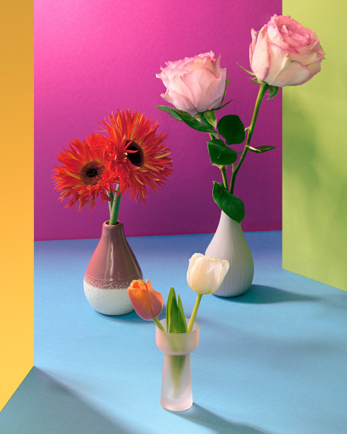 diplomserie-1_steffen_009