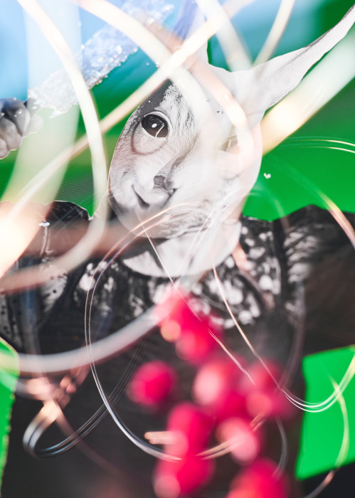 miriam-weisz-diplom-2-006