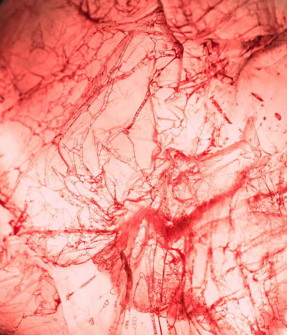 1236_mappe_dallabetta