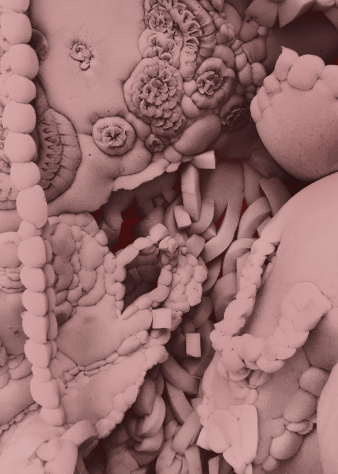 1251_mappe_dallabetta