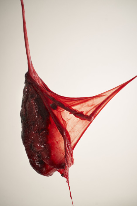 1278_mappe_dallabetta