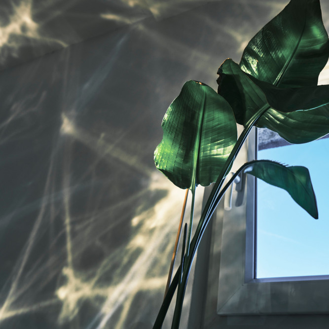 die-absolventin-der-ausbildung-zum-fotografen-carmen-bottcher-beschreibt-ihr-studium-der-fotografie.-93