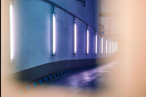 christina-peek-hat-die-deutschlandweit-erfolgreiche-ausbildung-zum-fotografen-absolviert-12