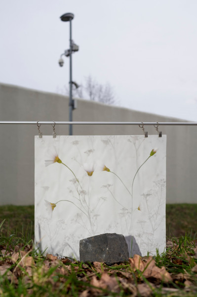 irene-berichtet-uber-in-deutschland-anerkannte-ausbildung-zum-fotografen-42