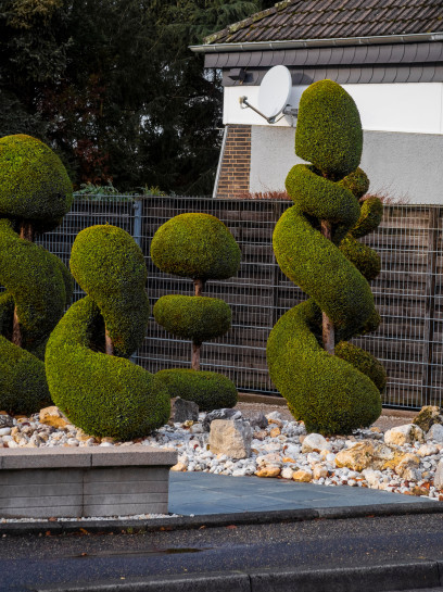 jonas-gladbach-uber-die-erfolgsaussichten-nach-abschluss-seines-fotografiestudiums-24