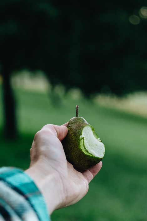 foodfotografie-als-ausbildungsziel-fur-fotografen-42