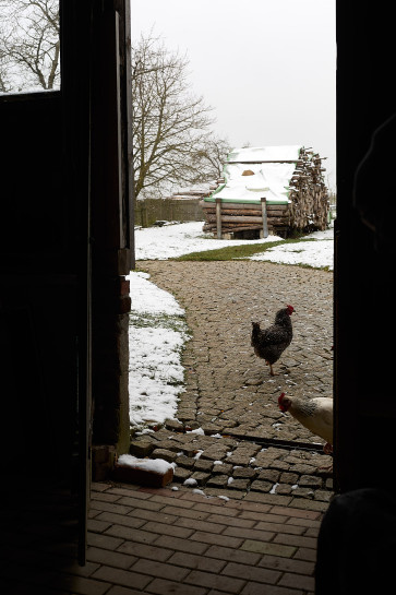 diplomprojekt_landleben_27