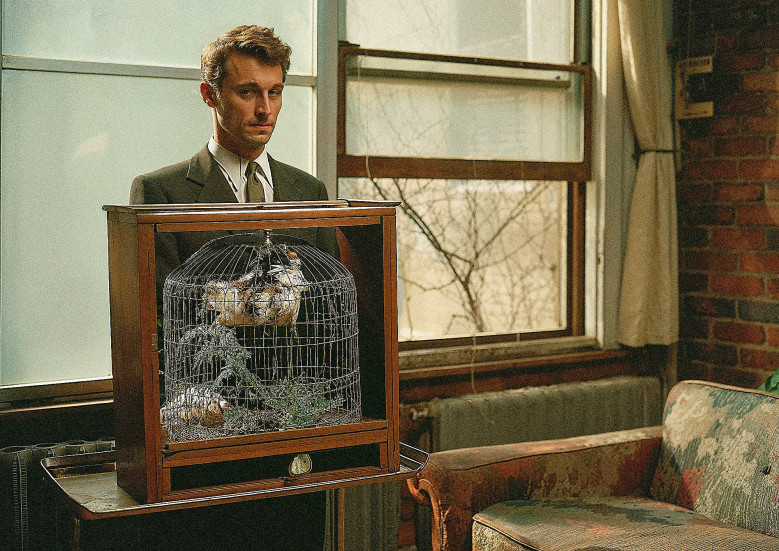 einfluss-von-ki-auf-die-fotografische-ausbildung-in-beispielbildern-243