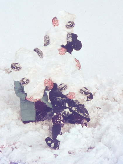 einfluss-von-ki-auf-die-fotografische-ausbildung-in-beispielbildern-262