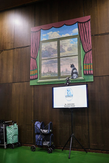 reportage-uber-katzenhaltung-im-rahmen-der-ausbildung-zur-fotografin-entstanden-328