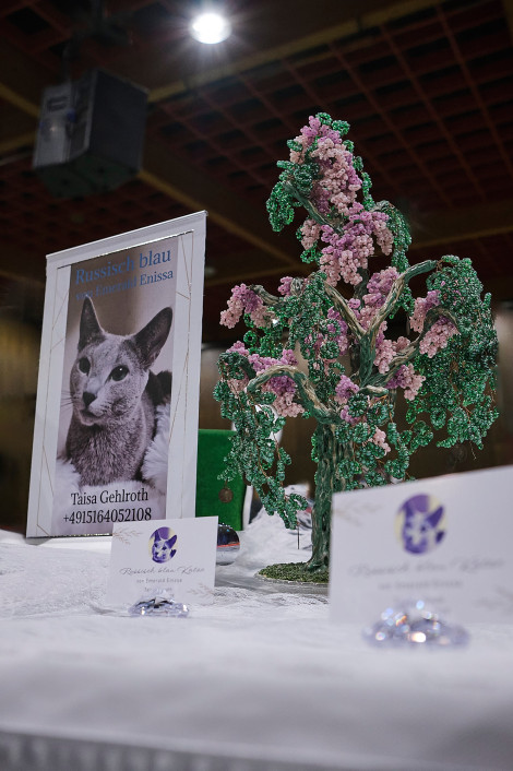 reportage-uber-katzenhaltung-im-rahmen-der-ausbildung-zur-fotografin-entstanden-349