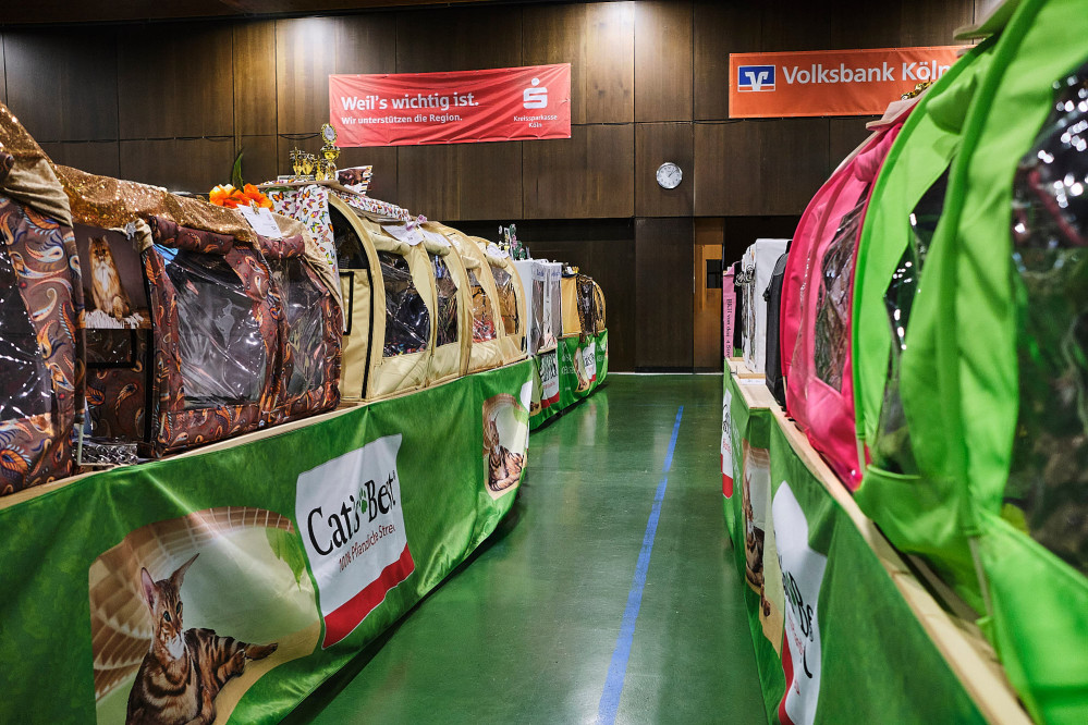 reportage-uber-katzenhaltung-im-rahmen-der-ausbildung-zur-fotografin-entstanden-347