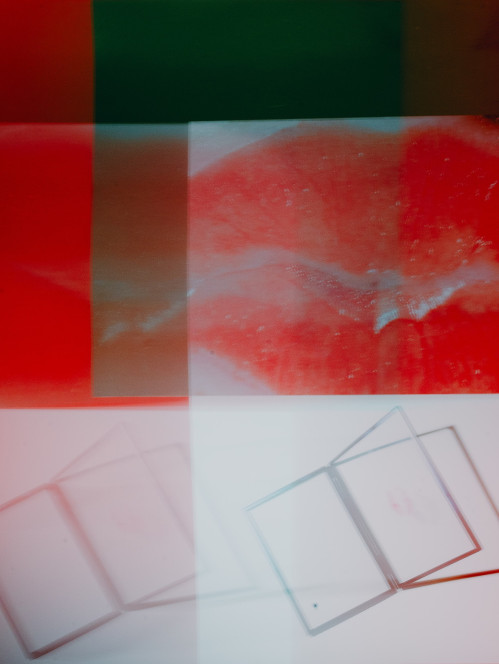 portrais-von-dirigentinnen-avandgardistische-gestaltung-im-rahmen-der-ausbildung-zum-fotografen-425