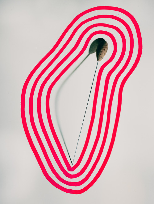 portrais-von-dirigentinnen-avandgardistische-gestaltung-im-rahmen-der-ausbildung-zum-fotografen-428