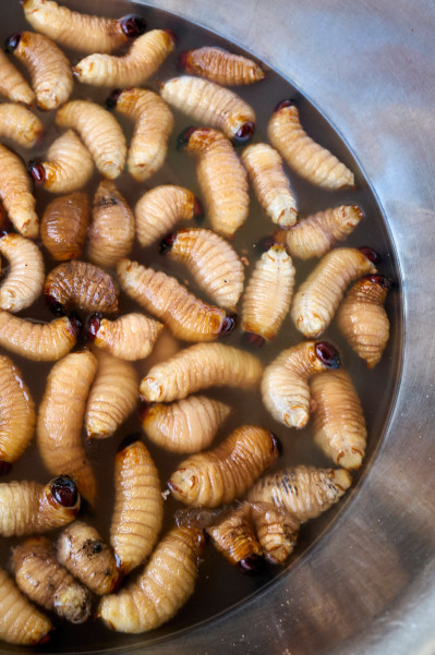 reportage-reisefotografie-im-rahmen-des-fotografiestudiums-005