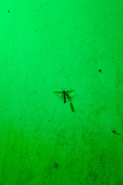 reportage-reisefotografie-im-rahmen-des-fotografiestudiums-026