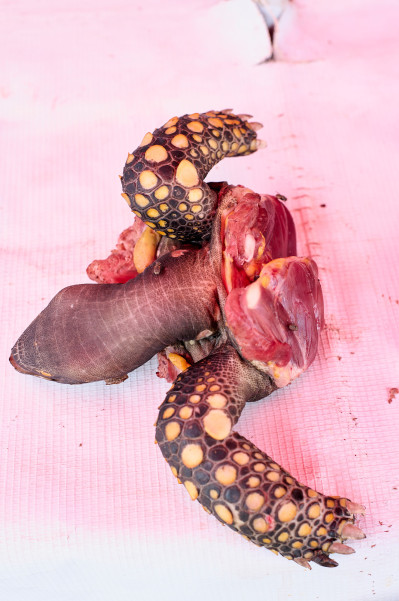 reportage-reisefotografie-im-rahmen-des-fotografiestudiums-032