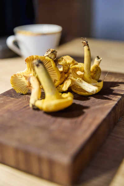 r-38eportage-uber-den-osten-deutschlands-imausbildungslehrgang-86