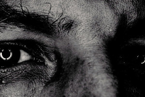 dieter-faustmann-fotograf-ausbildung-berufsbegleitend-studium-fotografie-02