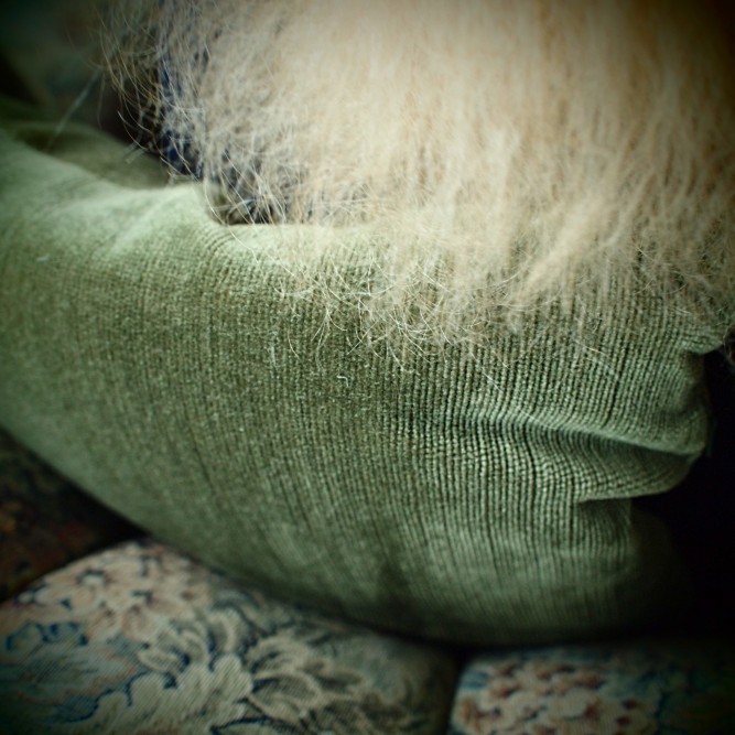 fotograf-ausbildung-umschulung-fotografie-studium-absolvent-julia29