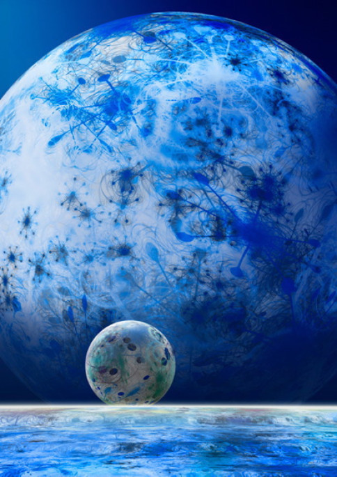 fotograf-ausbildung-umschulung-fotografie-studium-absolvent-nemerov04