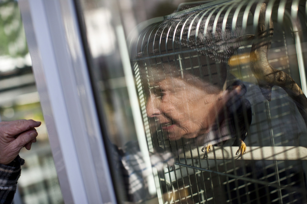 fotograf-ausbildung-umschulung-fotografie-studium-absolvent-kleer26