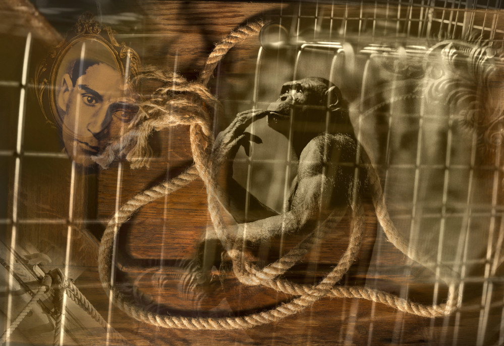 fotograf-ausbildung-umschulung-fotografie-studium-absolvent-staerk02