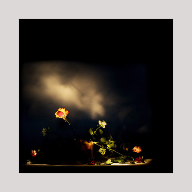 fotograf-ausbildung-umschulung-fotografie-studium-absolvent-staerk08